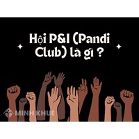 Hội P&I (Pandi Club) là gì ?