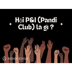 Hội P&I (Pandi Club) là gì ?