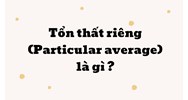 Tổn thất riêng (Particular average) là gì ?