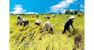 Thủ tục đăng ký hợp tác xã và mẫu giấy đề nghị đăng ký kinh doanh hợp tác xã 