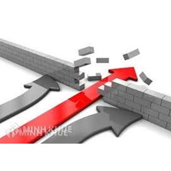 Các quy định về tiêu chuẩn và an toàn sản phẩm trong WTO. Vai trò của các tổ chức phi và môt chính phủ trong việc thực hiện các quy định trên.