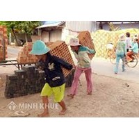Quy định của pháp luật Việt Nam về cưỡng bức lao động?