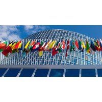 Vai trò của WIPO - Tổ chức Sở hữu Trí tuệ Thế giới?