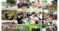 Các yếu tố ảnh hưởng đến tổ chức thực hiện chính sách xã hội