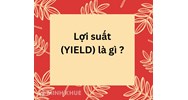 Lợi suất (YIELD) là gì? Phân loại, đánh giá lợi suất đầu tư