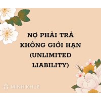 Nợ phải trả không giới hạn (UNLIMITED LIABILITY) là gì ?