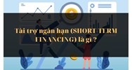 Tài trợ ngắn hạn là gì? Đặc trưng, vai trò của tài trợ ngắn hạn