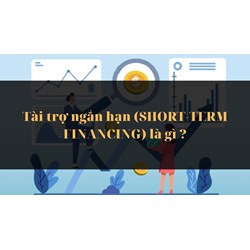 Tài trợ ngắn hạn là gì? Đặc trưng, vai trò của tài trợ ngắn hạn