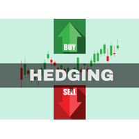 Bảo hộ vị thế bán (SHORT HEDGE) là gì  ?