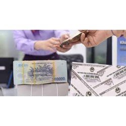 Công ty cổ phần quyết định chào bán trái phiếu riêng lẻ như thế nào?