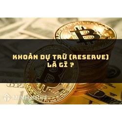 Khoản dự trữ (RESERVE) là gì ?