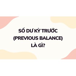 Số dư kỳ trước (PREVIOUS BALANCE) là gì ?