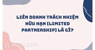 Liên doanh trách nhiệm hữu hạn (LIMITED PARTNERSHIP) là gì ?