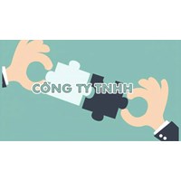Công ty trách nhiệm hữu hạn (LIMITED LIABILITY COMPANY - LLC) là gì? Khái niêm, đặc điểm các loại công ty trách nhiệm hữu hạn?