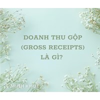 Doanh thu gộp là gì? Gross Receipts là gì?