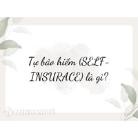 Tự bảo hiểm (SELF-INSURACE) là gì ?