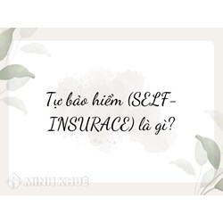 Tự bảo hiểm (SELF-INSURACE) là gì ?