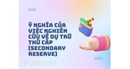 Dự trữ thứ cấp (SECONDARY RESERVE) là gì? Có vai trò gì?