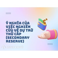 Dự trữ thứ cấp (SECONDARY RESERVE) là gì? Có vai trò gì?