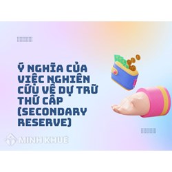 Dự trữ thứ cấp (SECONDARY RESERVE) là gì? Có vai trò gì?