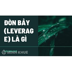 Đòn bảy (LEVERAGE) là gì ?