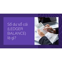 Số dư sổ cái (LEDGER BALANCE) là gì ?