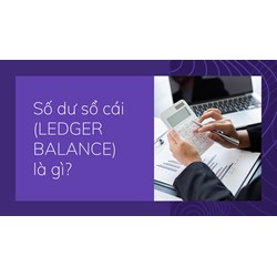 Số dư sổ cái (LEDGER BALANCE) là gì ?