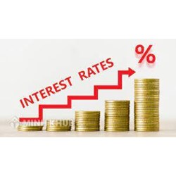 Tiền lãi (INTEREST) là gì? Vai trò và ví dụ về tiền lãi