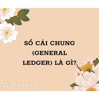 Sổ cái chung (GENERAL LEDGER) là gì ?