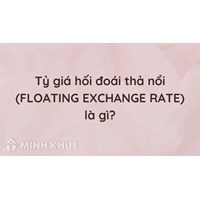 Tỷ giá hối đoái thả nổi (FLOATING EXCHANGE RATE) là gì ?
