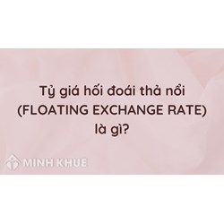Tỷ giá hối đoái thả nổi (FLOATING EXCHANGE RATE) là gì ?