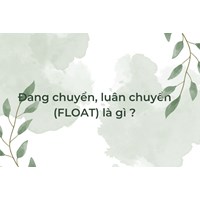 Đang chuyển tiền là gì? Luân chuyển tiền là gì? Float là gì?