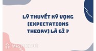 Lý thuyết kỳ vọng là gì? Ví dụ và ưu nhược điểm thuyết kỳ vọng