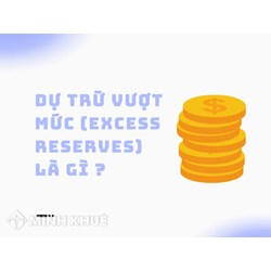 Dự trữ vượt mức (EXCESS RESERVES) là gì? Nguyên nhân và vai trò