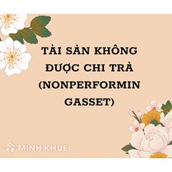 Tài sản không được chi trả (NONPERFORMING ASSET) là gì ?