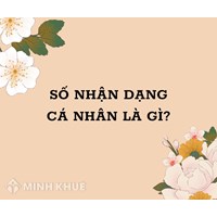 Số nhận dạng cá nhân (PERSONAL IDENTIFICATION NUMBER - PIN) là gì ?