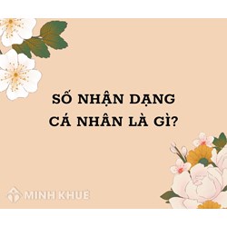 Số nhận dạng cá nhân (PERSONAL IDENTIFICATION NUMBER - PIN) là gì ?