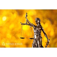 Mô hình pháp điển hóa pháp luật Việt Nam nên theo hướng nào? Tại sao?
