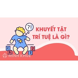 Người khuyết tật về trí tuệ là gì? Bảo đảm công lý cho người khuyết tật trí tuệ trong tố tụng hình sự