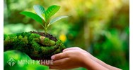 Xả thải ra môi trường bất hợp pháp, gây ô nhiễm thì phải chịu trách nhiệm như thế nào?