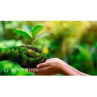 Xả thải ra môi trường bất hợp pháp, gây ô nhiễm thì phải chịu trách nhiệm như thế nào?
