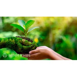 Xả thải ra môi trường bất hợp pháp, gây ô nhiễm thì phải chịu trách nhiệm như thế nào?