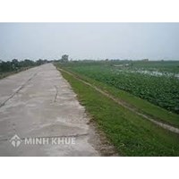 Dựng lều quán trong hành lang bảo vệ an toàn đê điều chịu trách nhiêm hình sự khi nào?