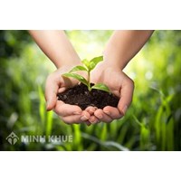 Phân tích tội đưa chất thải vào lãnh thổ Việt Nam cần lưu ý?