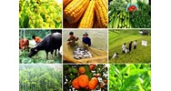 Lợi ích kinh tế từ nguồn tri thức truyền thống?