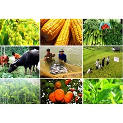 Lợi ích kinh tế từ nguồn tri thức truyền thống?