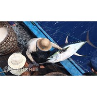 Dùng thuốc nổ để đánh bắt thủy hải sản có thể bị án phạt tù?