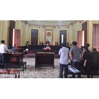 Thu thập chứng cứ trong vụ án dân sự theo yêu cầu của các đương sự.