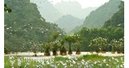 Sai phạm khi quản lý khu bảo tồn thiên nhiên thì phải chiu trách nhiệm như thế nào?