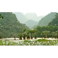 Sai phạm khi quản lý khu bảo tồn thiên nhiên thì phải chiu trách nhiệm như thế nào?
